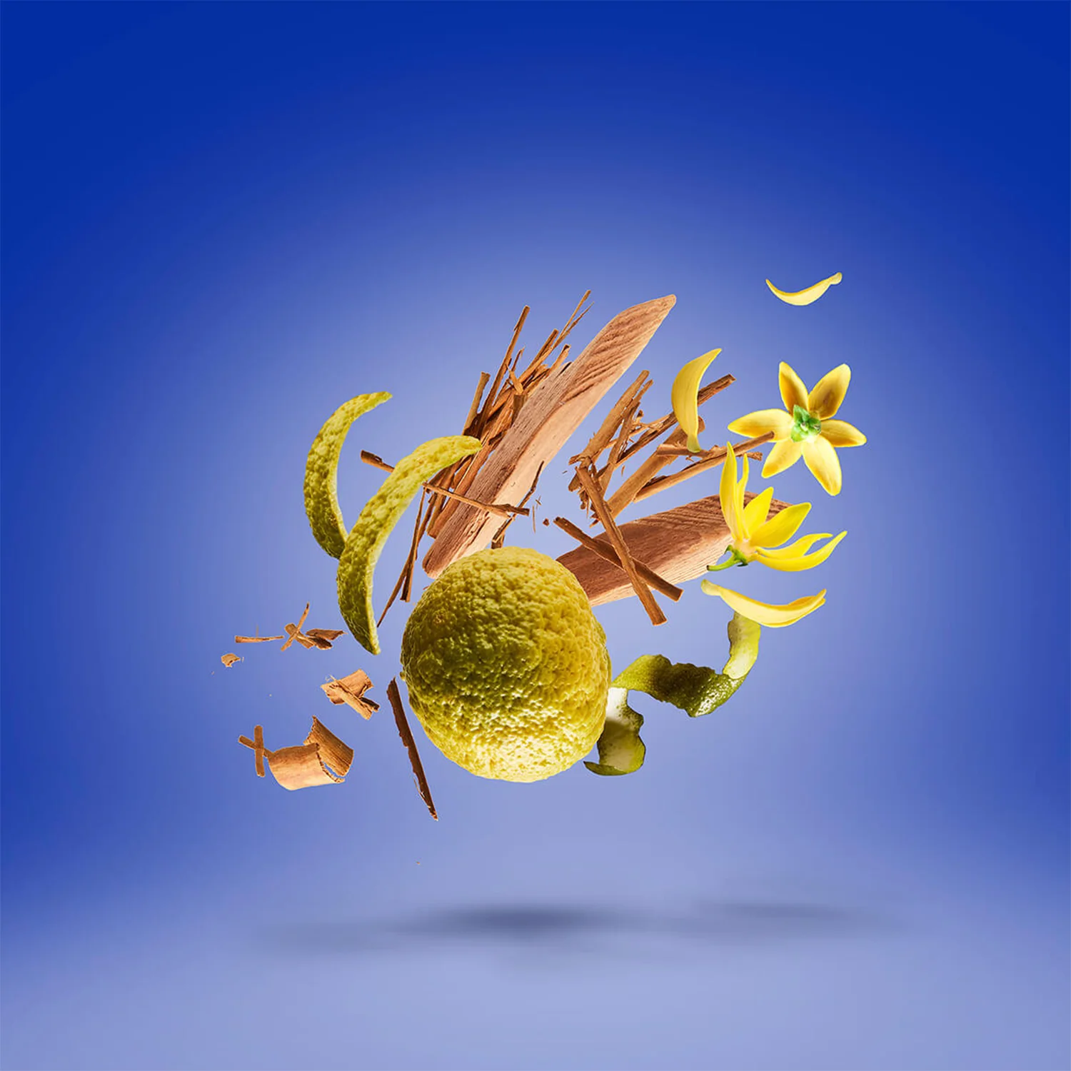 XXY - Image 3
