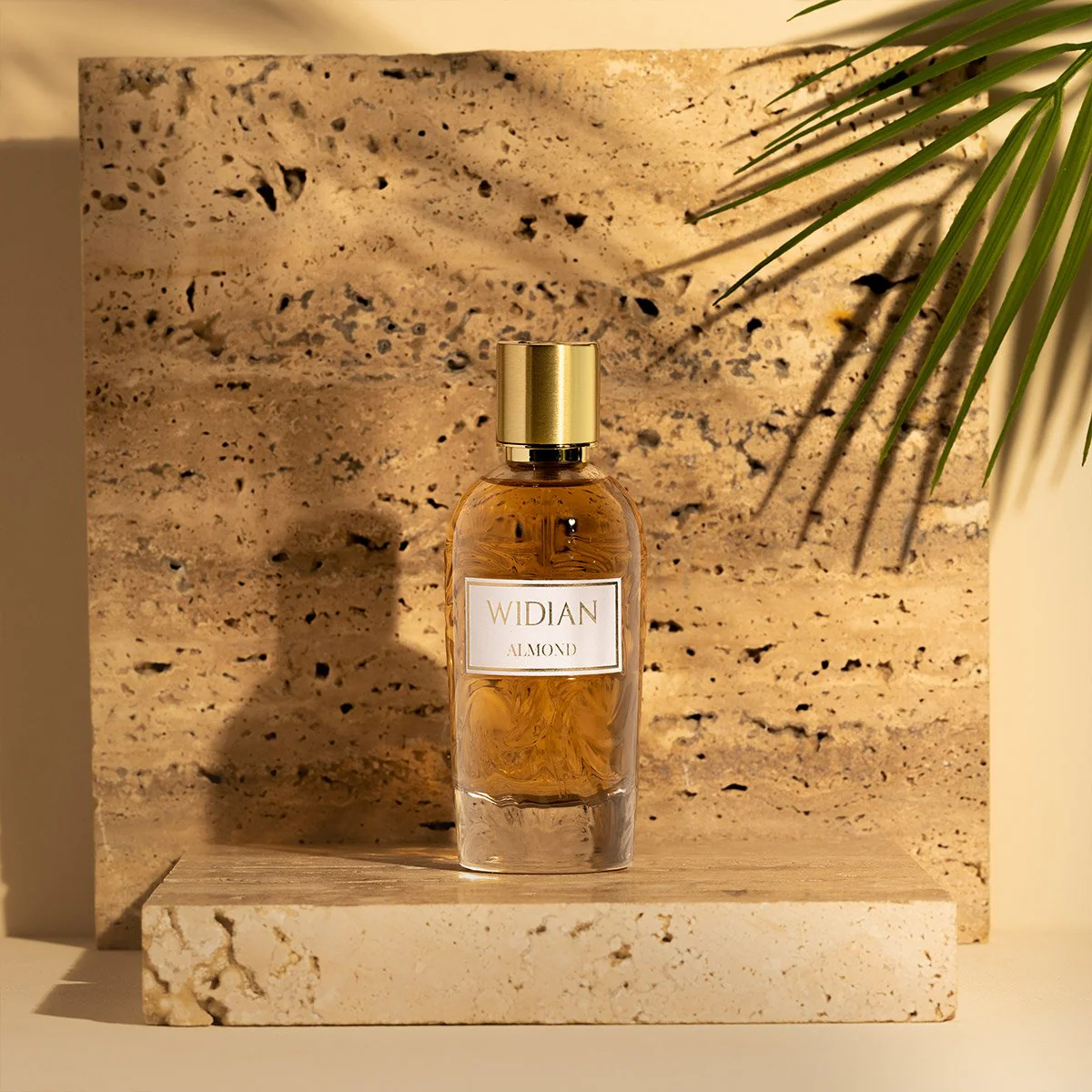 Almond - Image 3