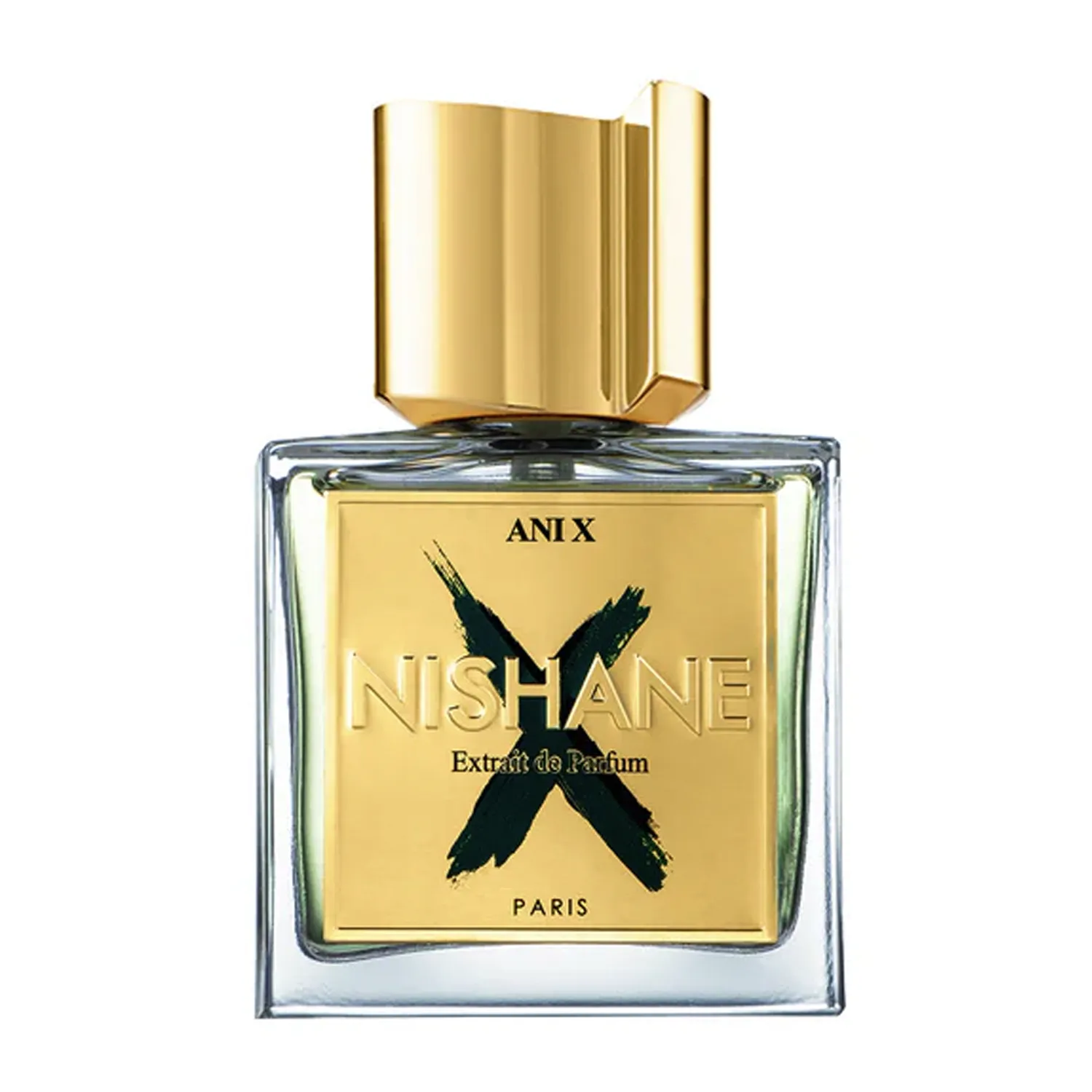 Ani X