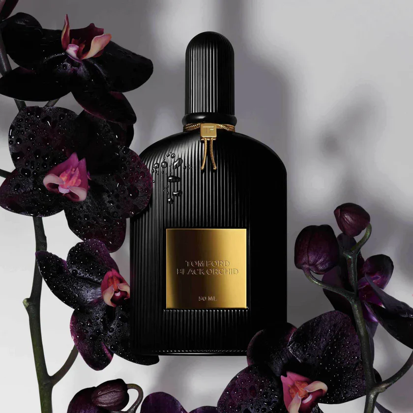 Black Orchid - Aob - Image 2