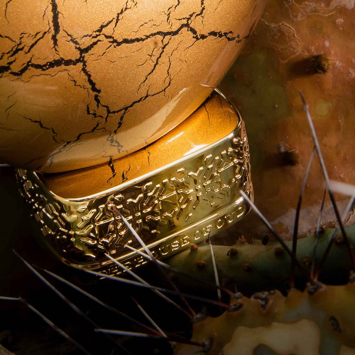 Golden Powder - Image 5