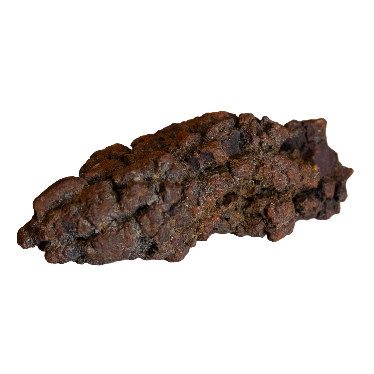 Dinosaur Dung Poop Coprolite from Madagascar