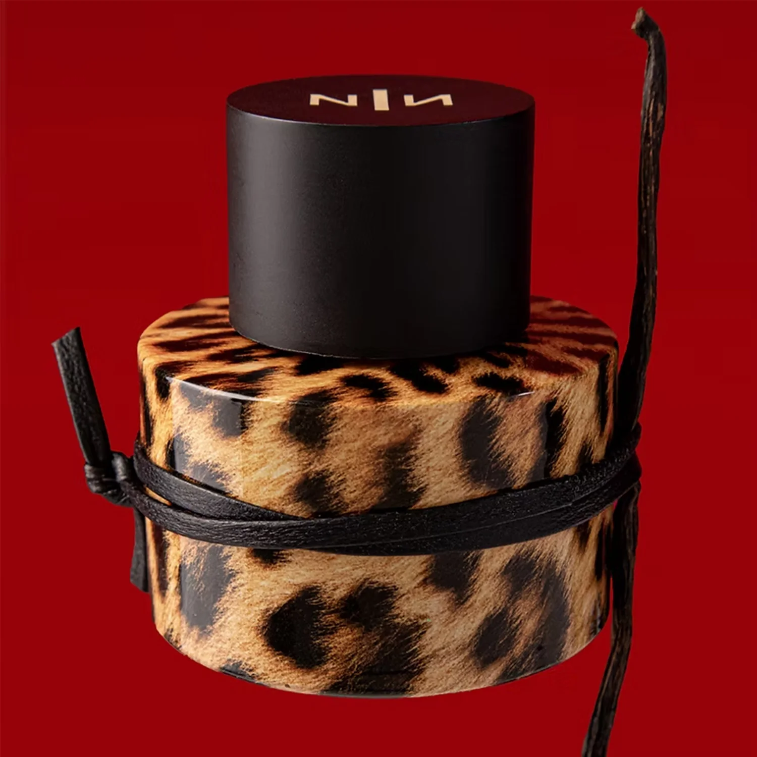 Felina - Image 3