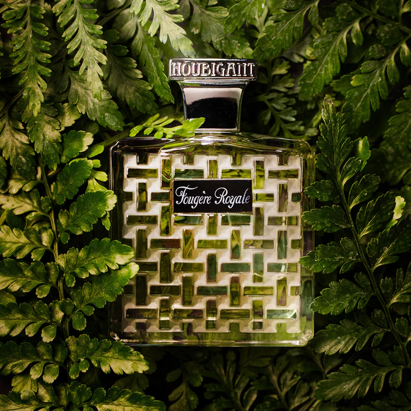 Fougère Royale - Image 2