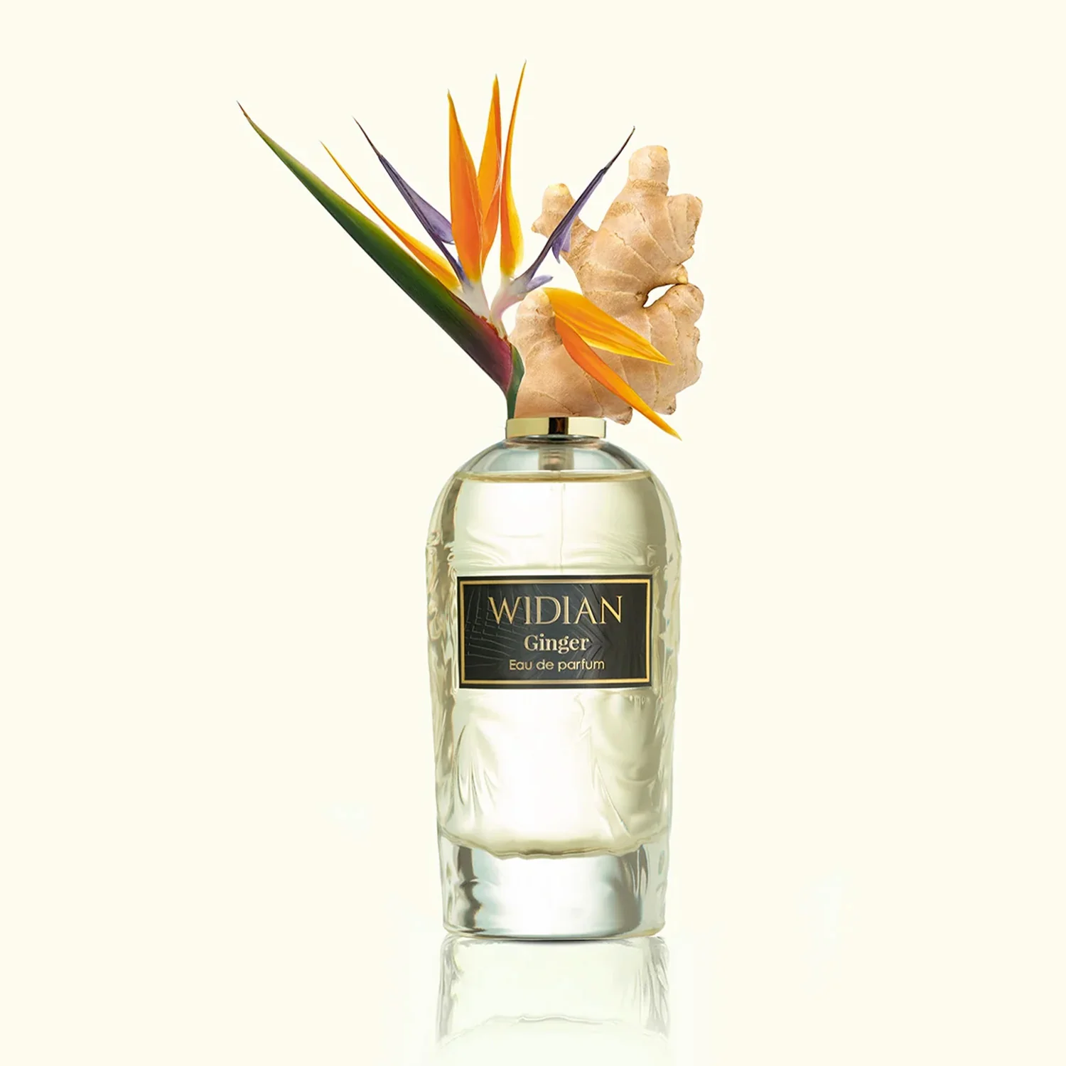 Ginger - Image 3