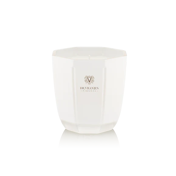 Ginger Lime - Candle