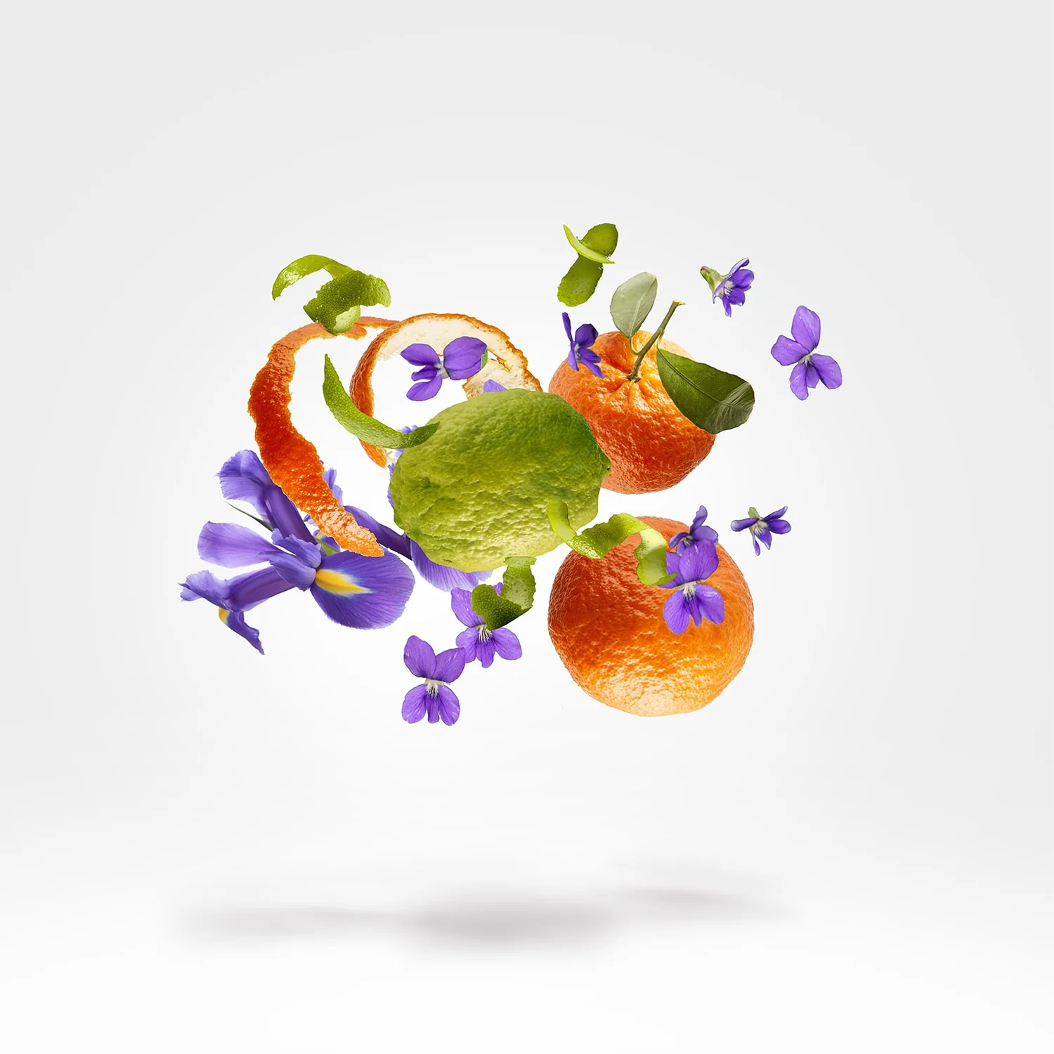 K Collection - Luna - Image 5