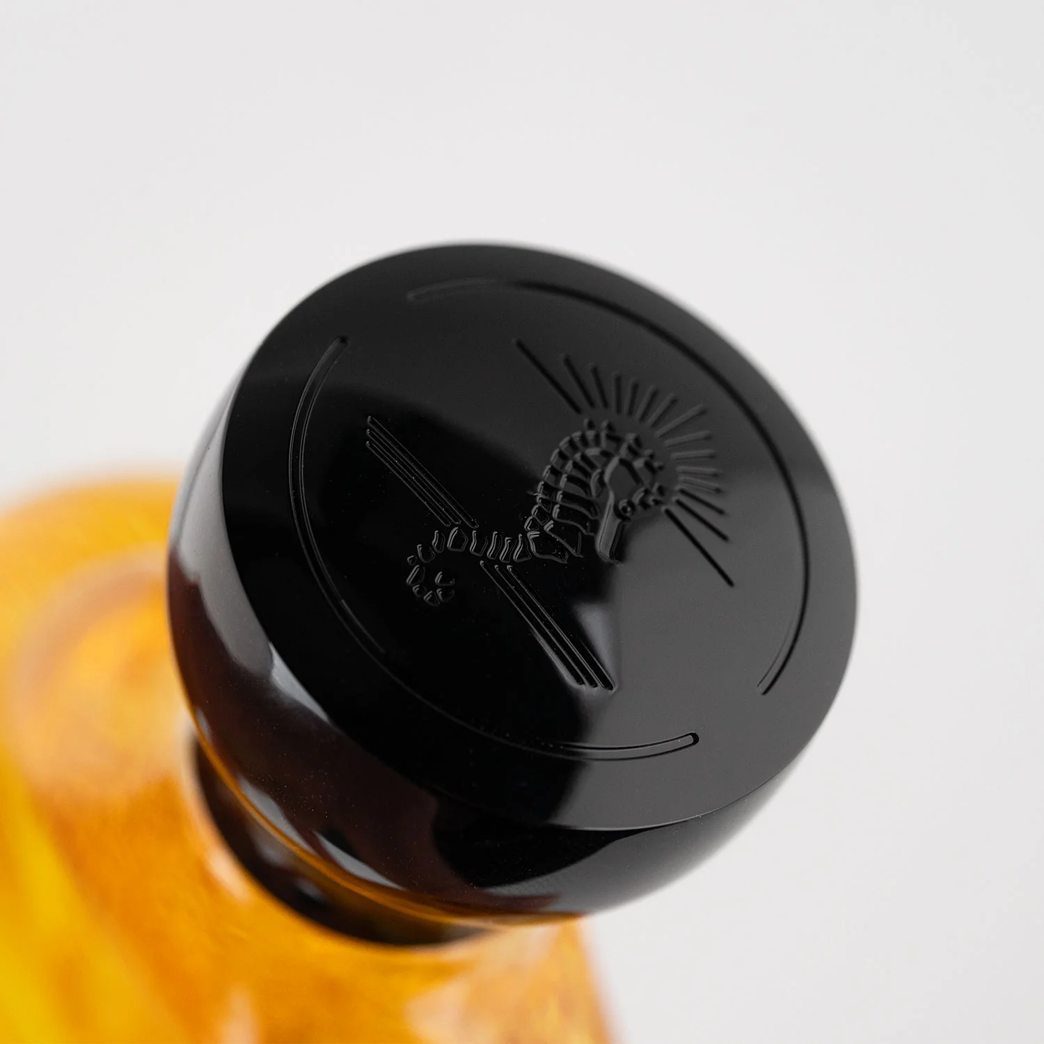 Lune Féline - Extrait - Image 5