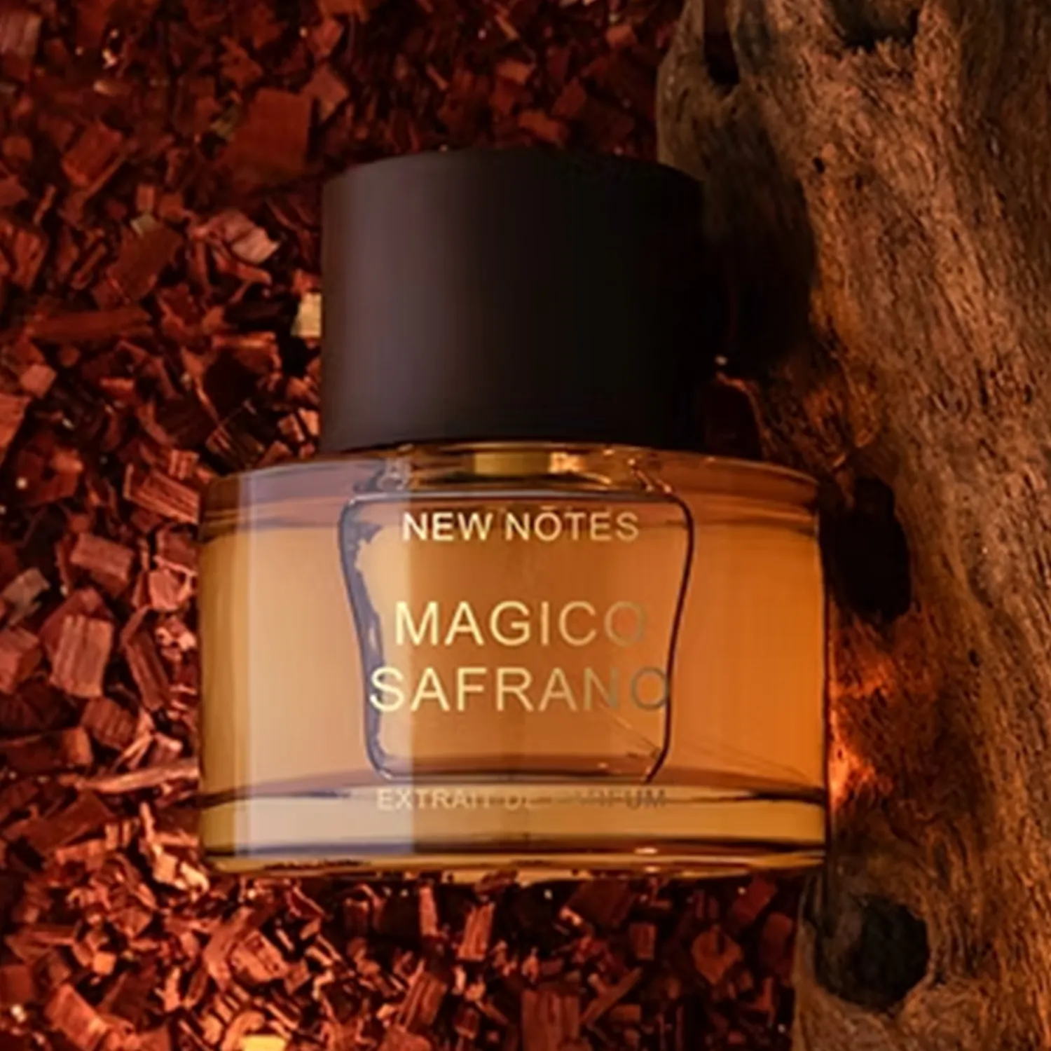 Magico Safrano - Image 3