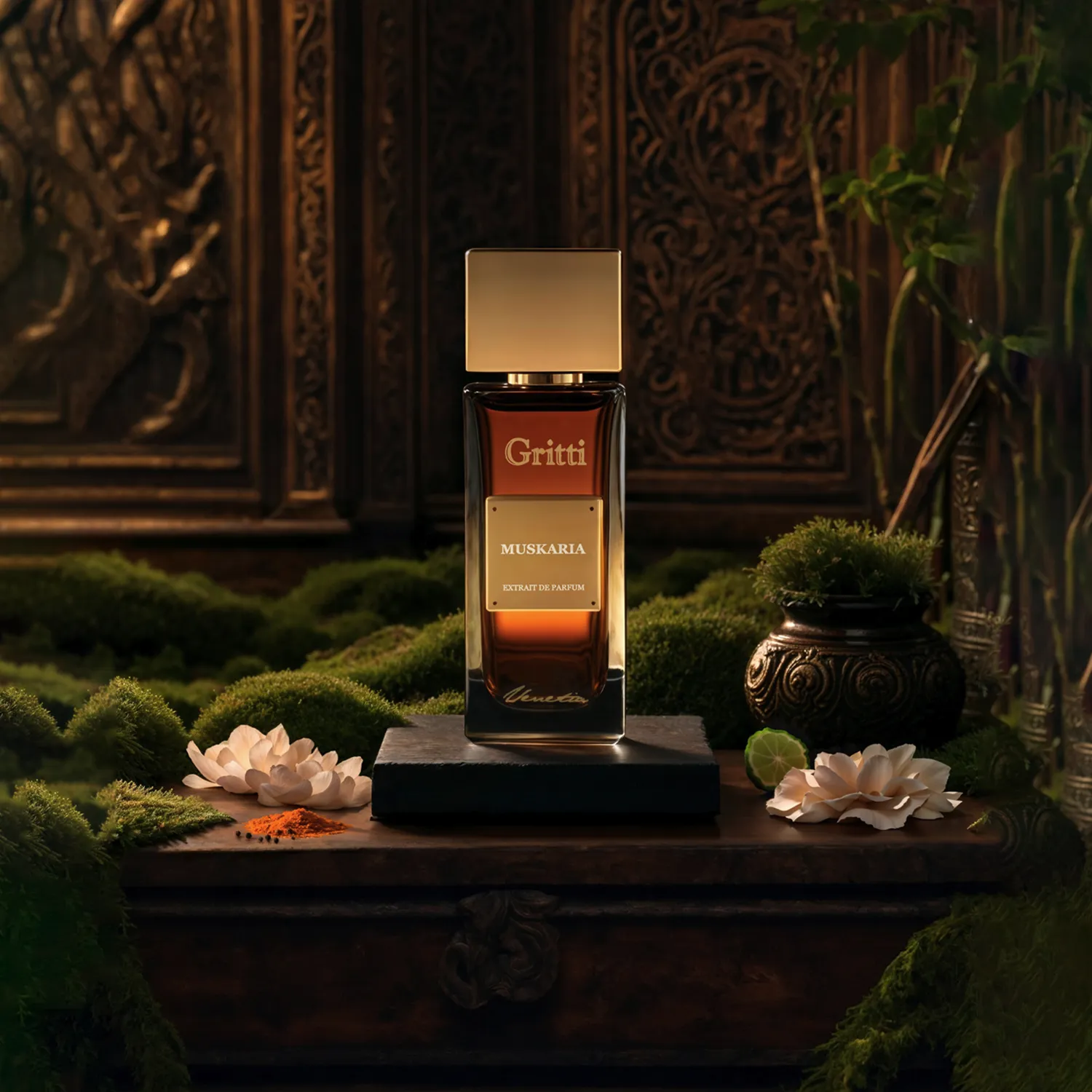 Muskaria - Image 3