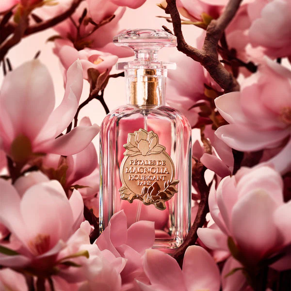 Pétales de Magnolia - Image 2
