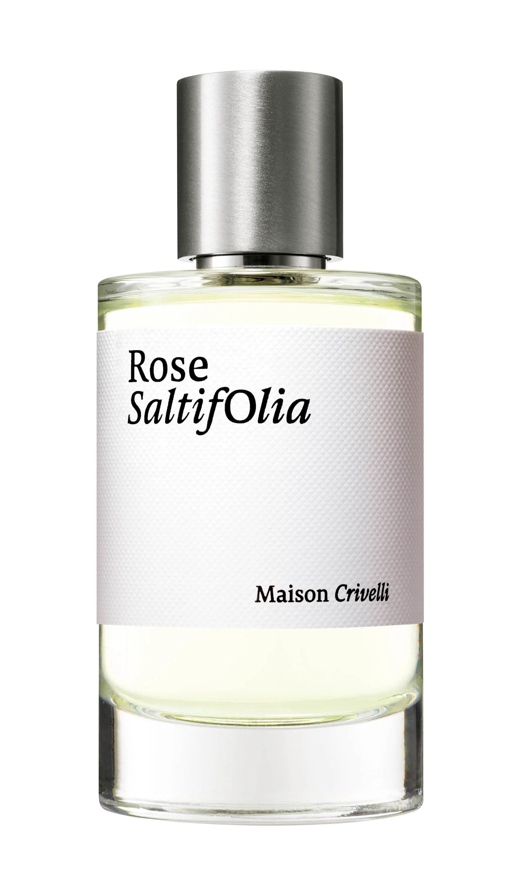 Rose Saltifolia