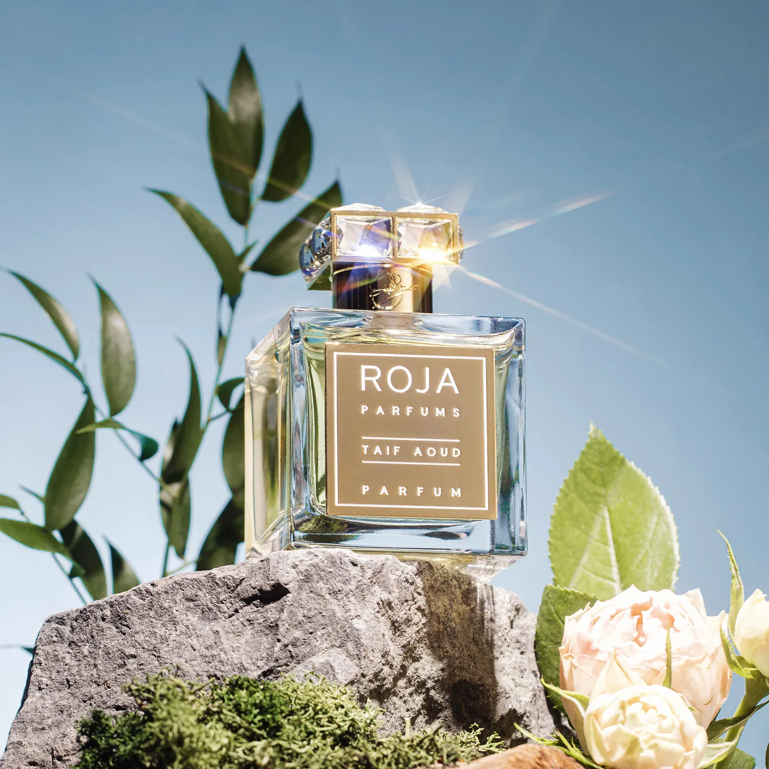 Taif Aoud - Image 3