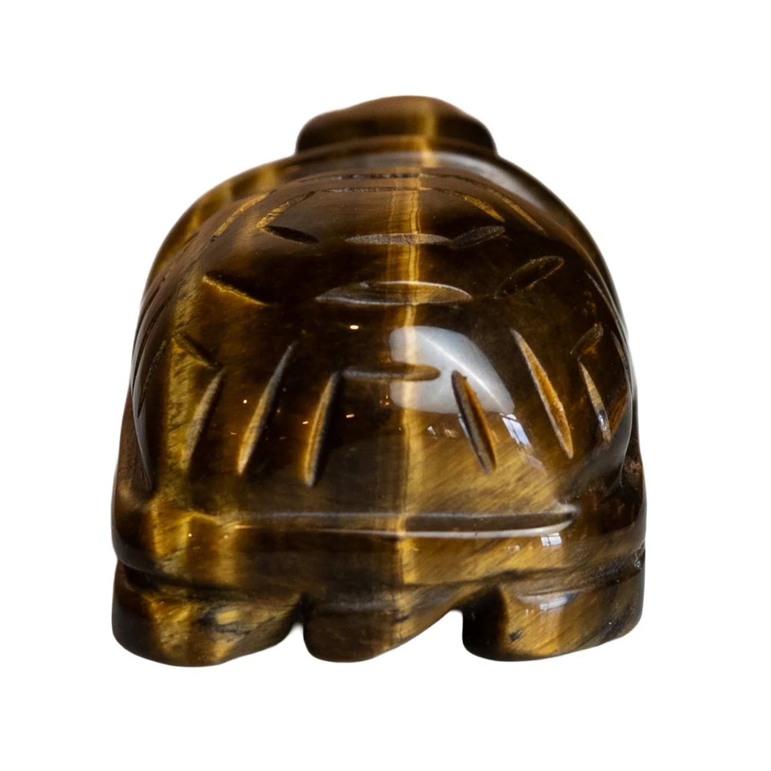 Tiger Eye Turtle 2" Natural Gemstone Carving - Image 3