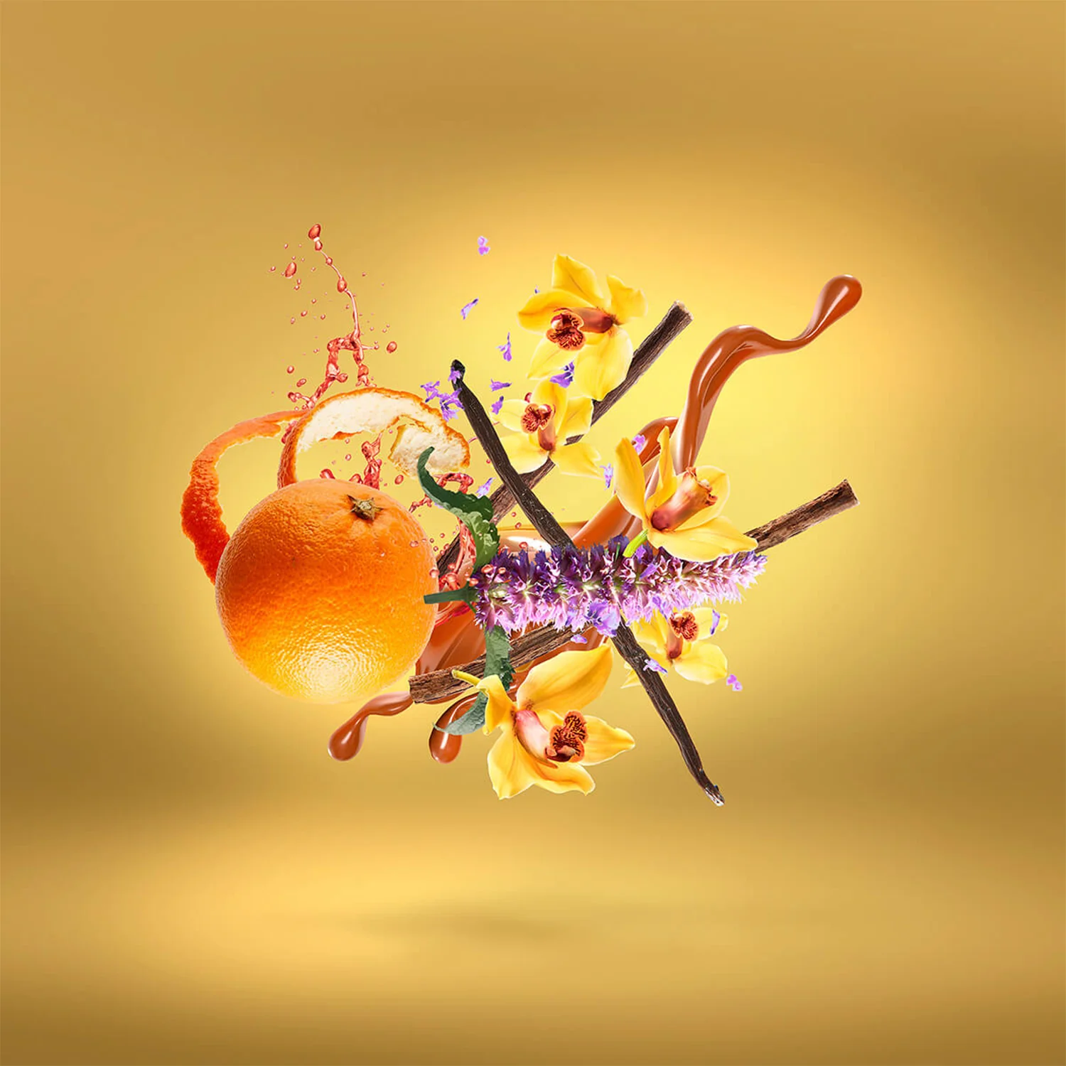 Casamorati - Lira - Image 3