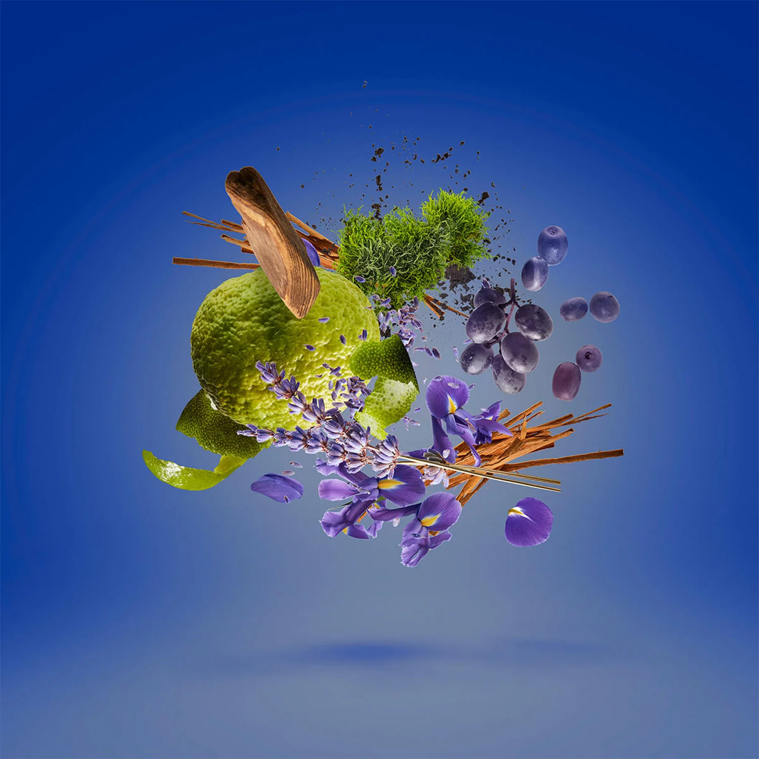 Casamorati - Mefisto - Image 3