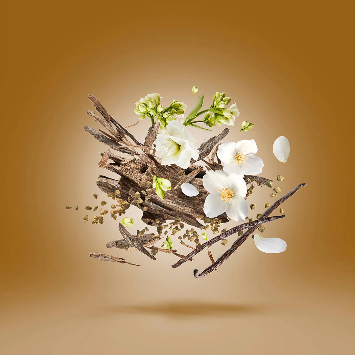 Al Khatt - Image 3