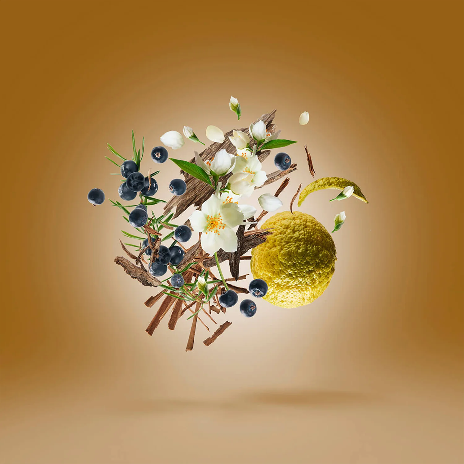 Fars - Image 4