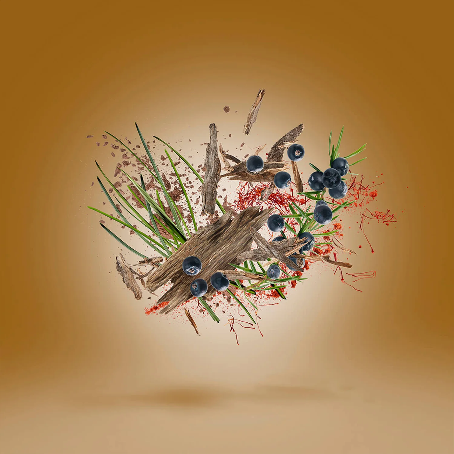 Gao - Image 3