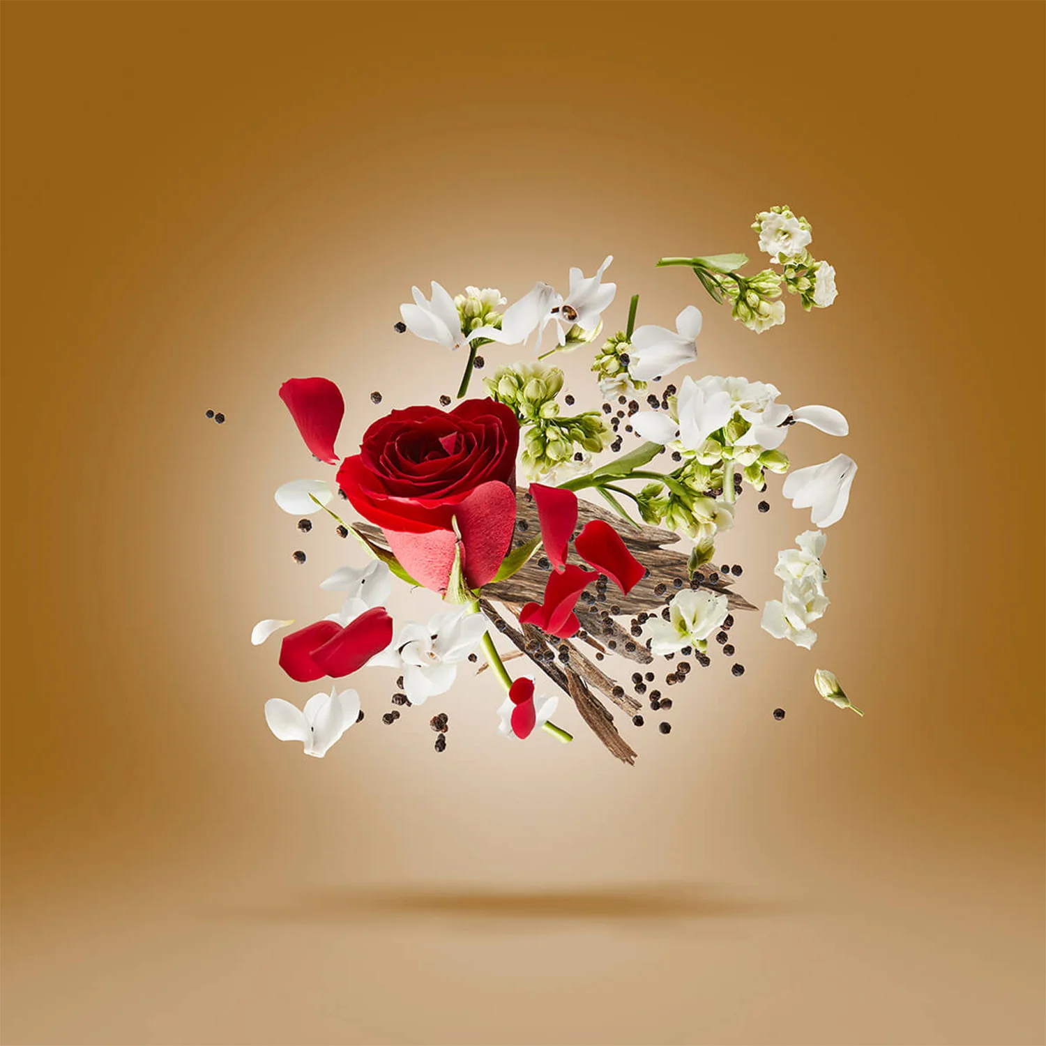 Zafar - Image 4