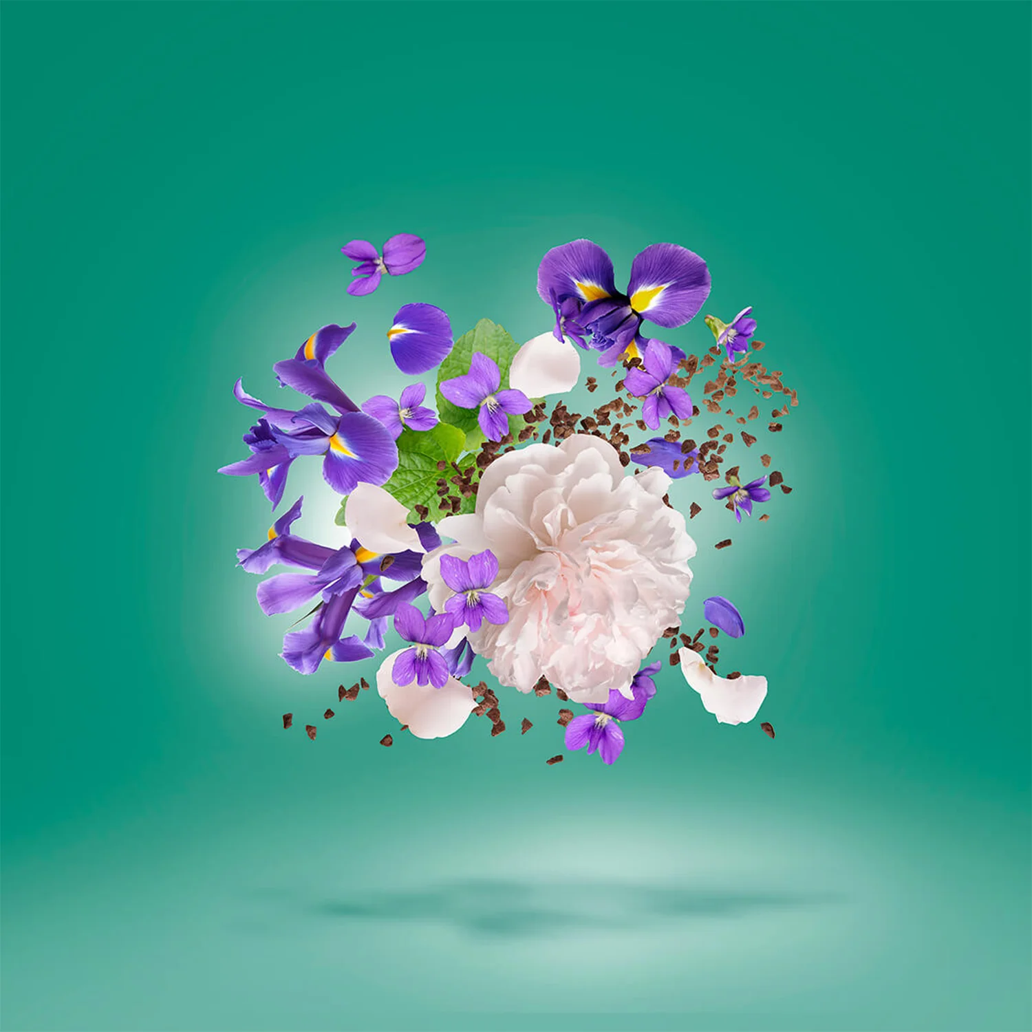 Irisss - Image 3